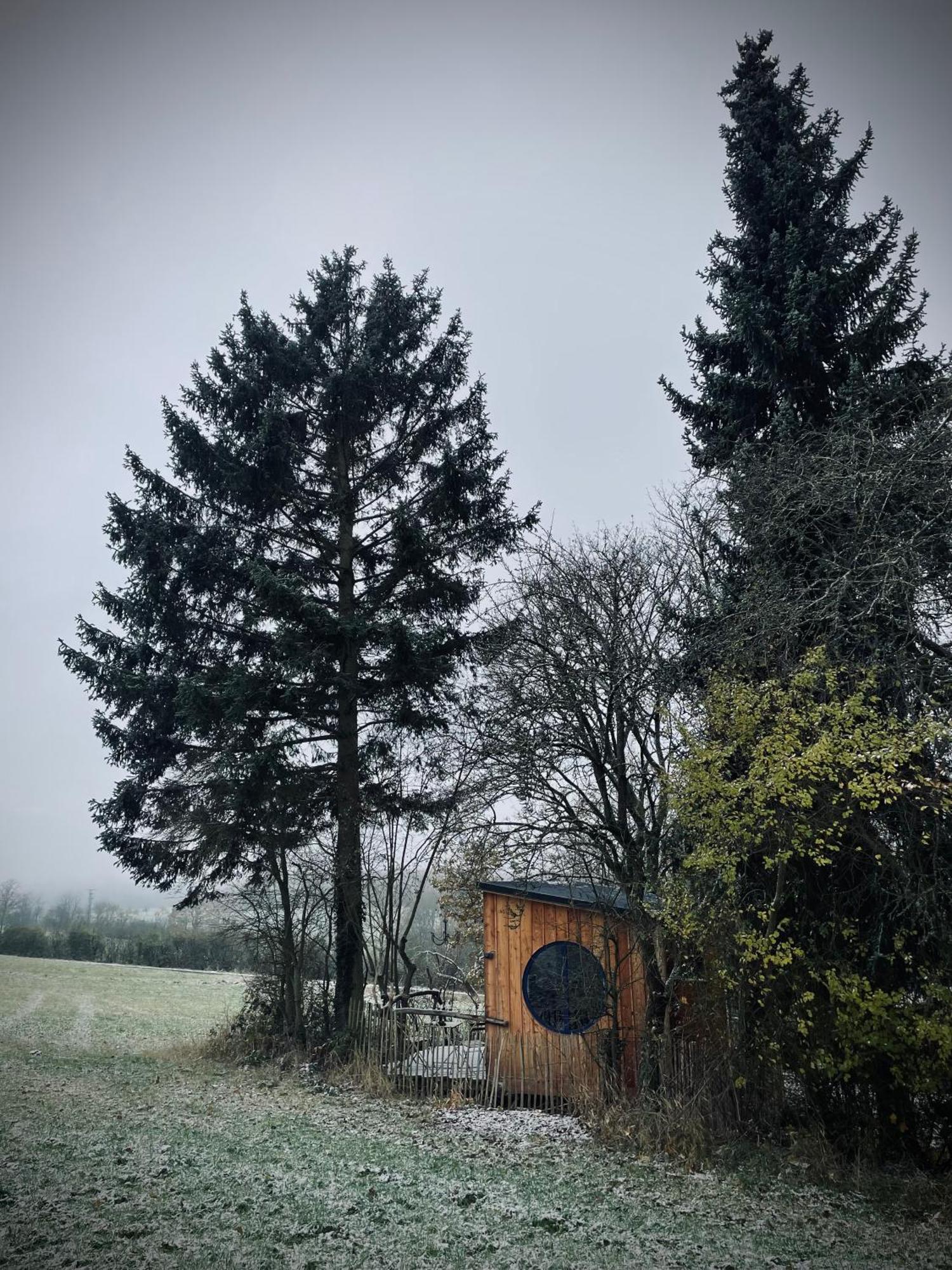 Eulennest - Tiny House Im Habichtswald Villa Schauenburg Exterior photo